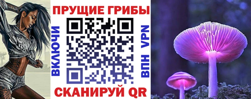 Галлюциногенные грибы мицелий купить закладку Кириши